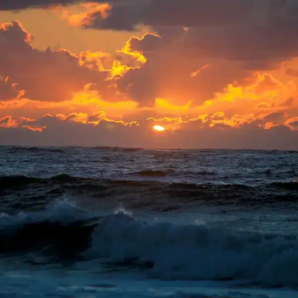 Waves